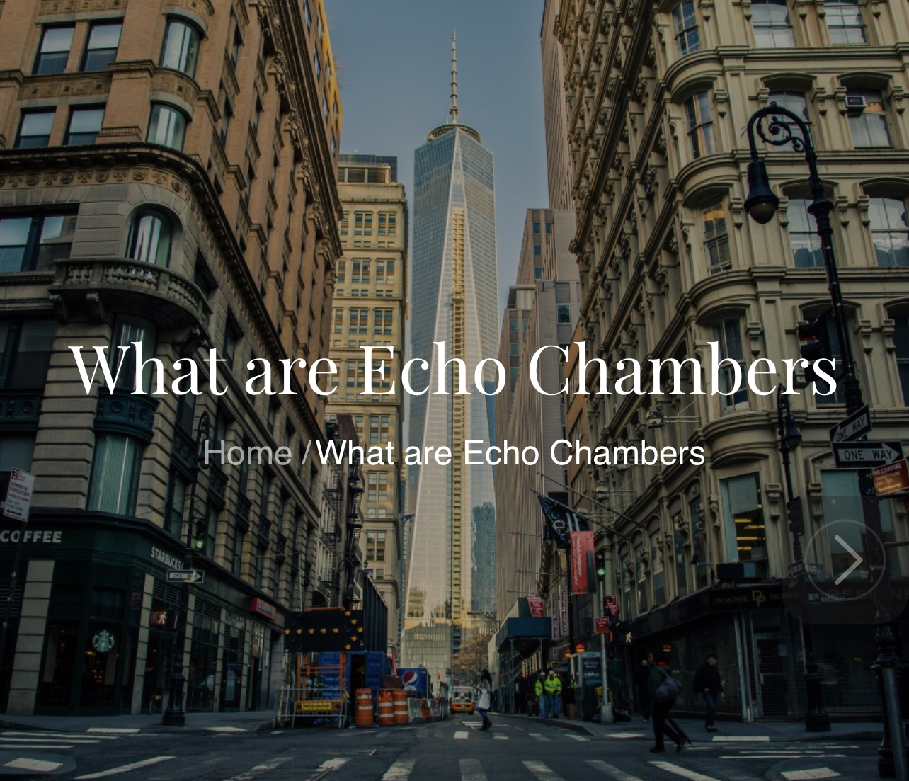 What are Echo Chambers